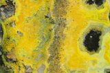Very Vibrant, Free-Standing Polished Bumblebee Jasper #358627-1